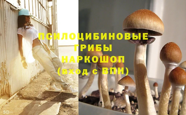 стафф Балахна